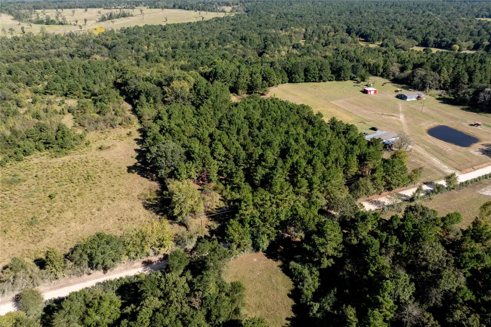 County Road 4090 Lovelady, TX 75851