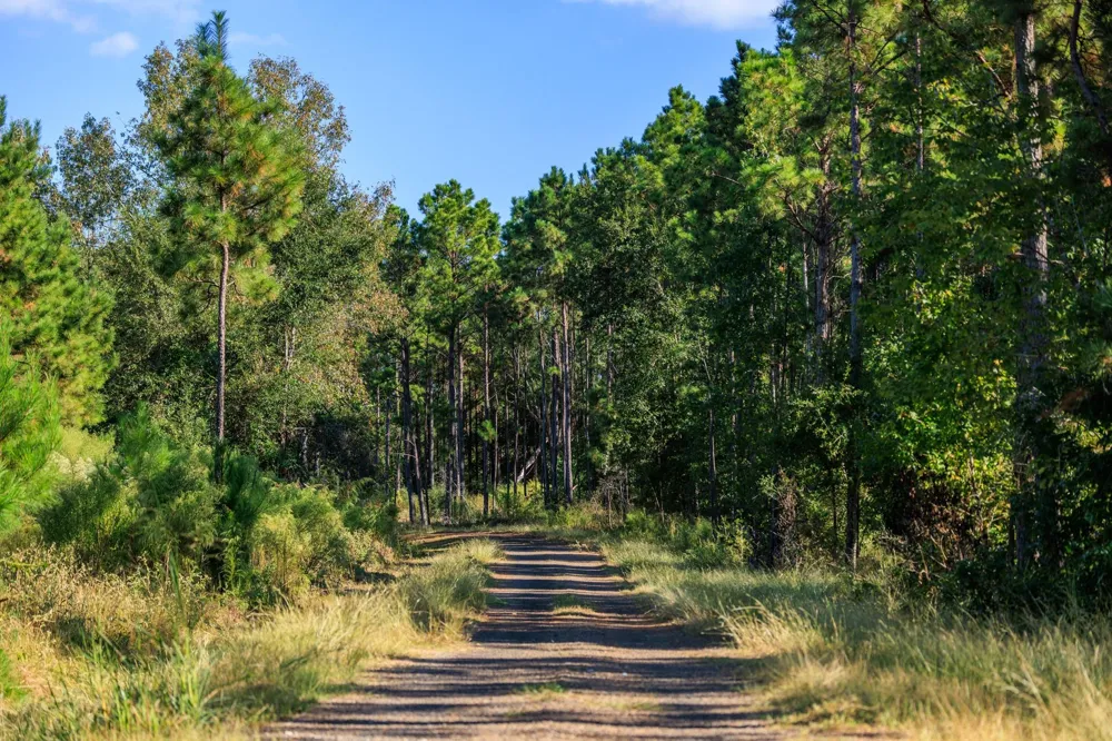 2258 Fm 3459 Onalaska, TX 77360