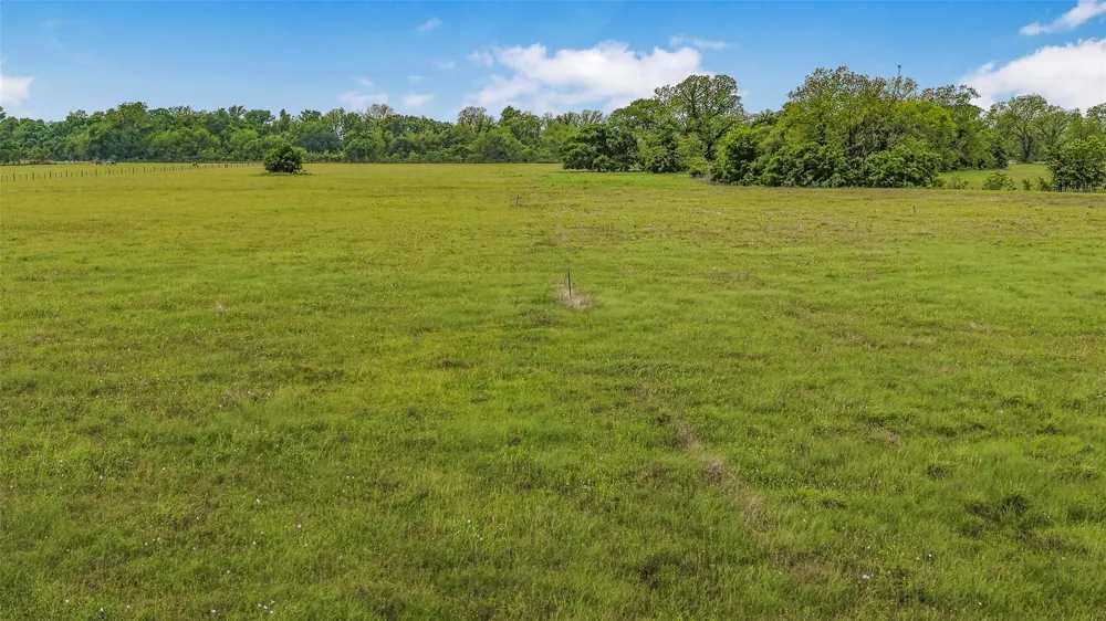 Cr 164 Boling, TX 77420
