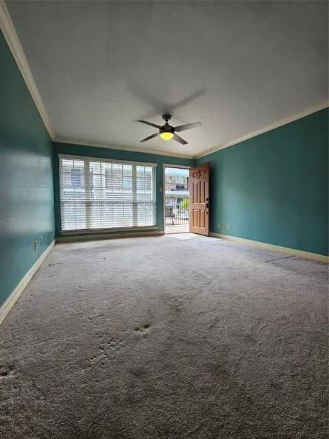 2507 Montrose Boulevard #12