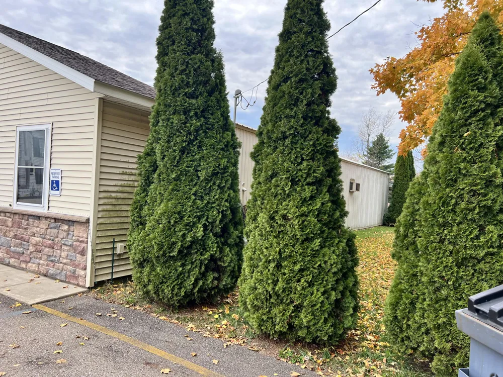 560 S Grand Street Schoolcraft, MI 49087