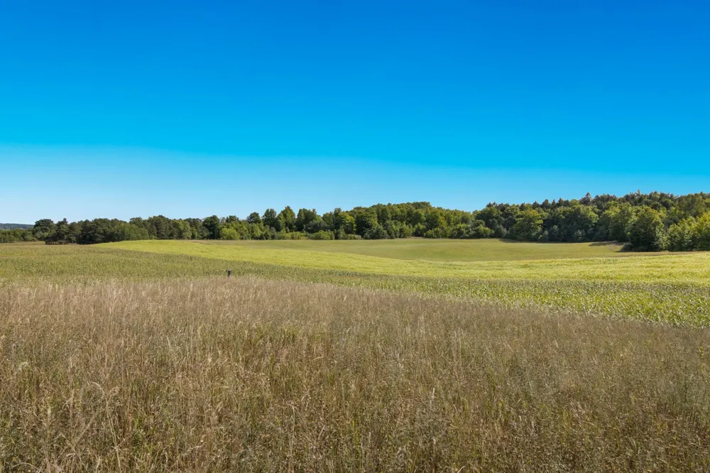 9224 E Duck Lake Road Suttons Bay Township, MI 49682