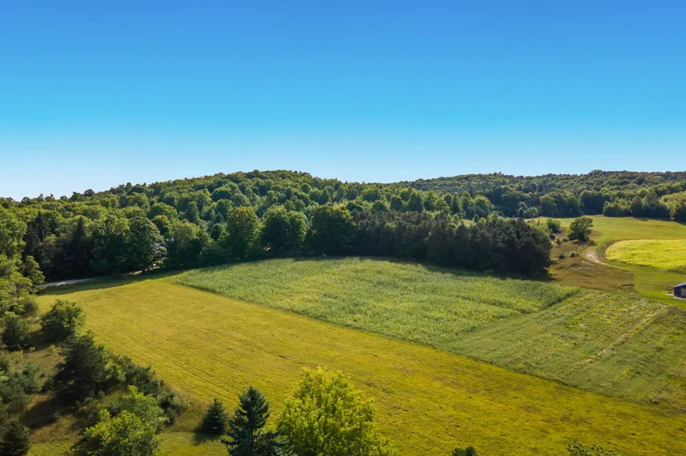 9224 E Duck Lake Road Suttons Bay Township, MI 49682