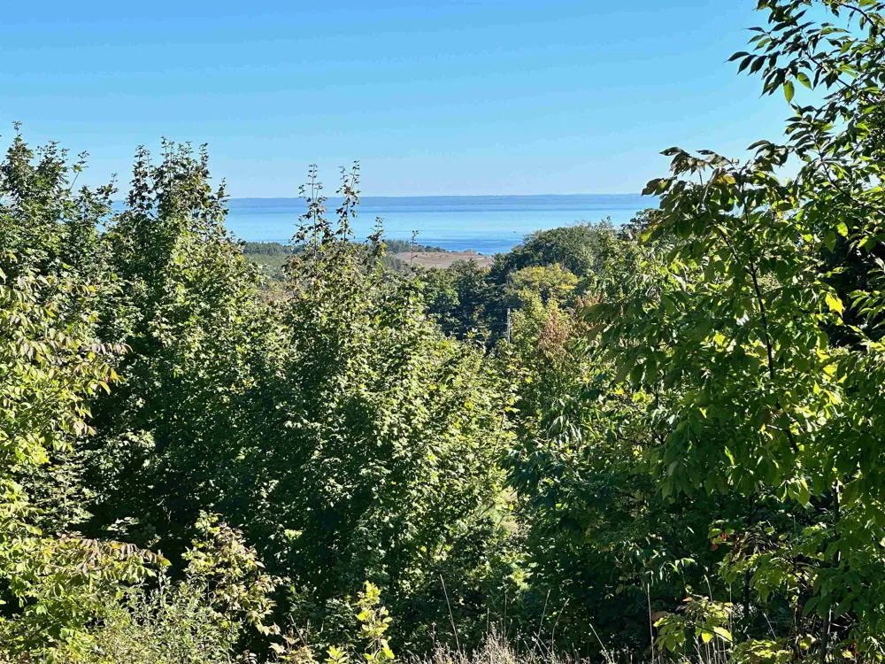9224 E Duck Lake Road Suttons Bay Township, MI 49682