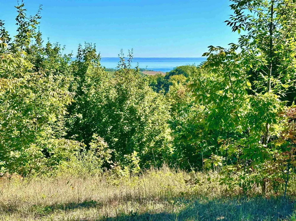 9224 E Duck Lake Road Suttons Bay Township, MI 49682