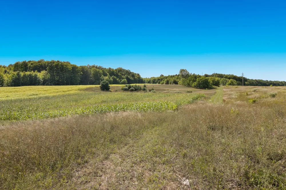 9224 E Duck Lake Road Suttons Bay Township, MI 49682