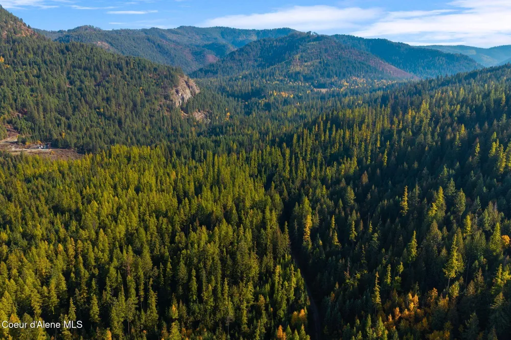NNA Big Buck Rd Bayview, ID 83803