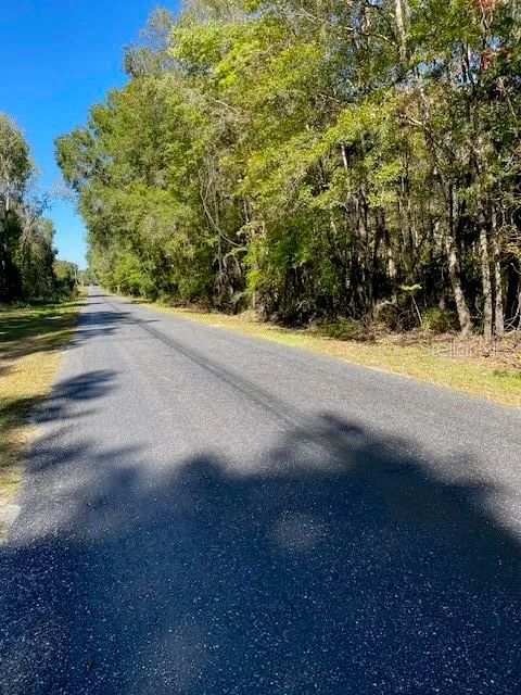 19611 NW 75TH STREET Alachua, FL 32615