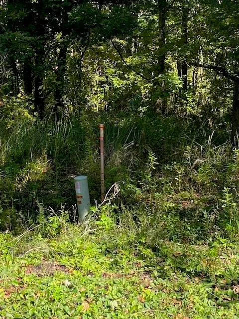 19611 NW 75TH STREET Alachua, FL 32615