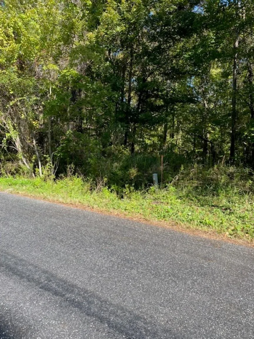 19611 NW 75TH STREET Alachua, FL 32615