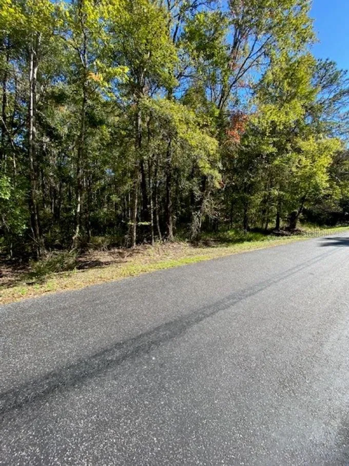 19611 NW 75TH STREET Alachua, FL 32615