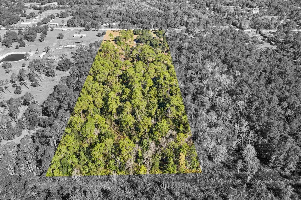 1405 FAZZINI DRIVE Frostproof, FL 33843