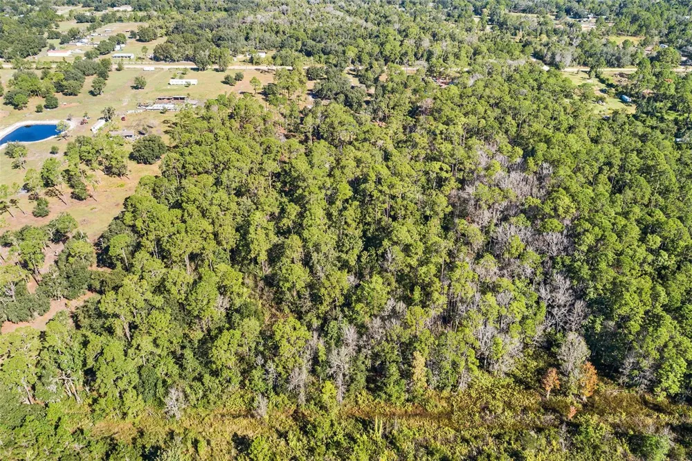 1405 FAZZINI DRIVE Frostproof, FL 33843