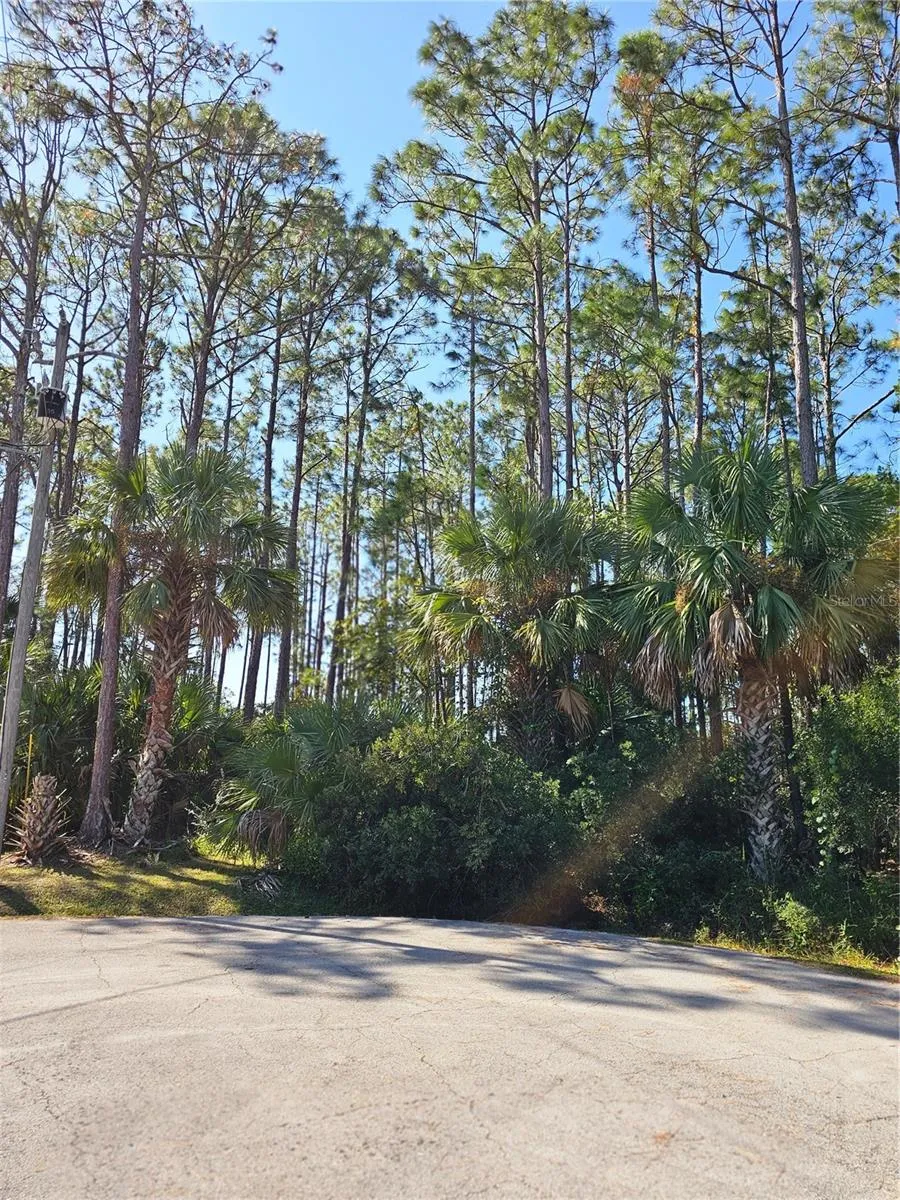12 RAMSGATE PLACE Palm Coast, FL 32164