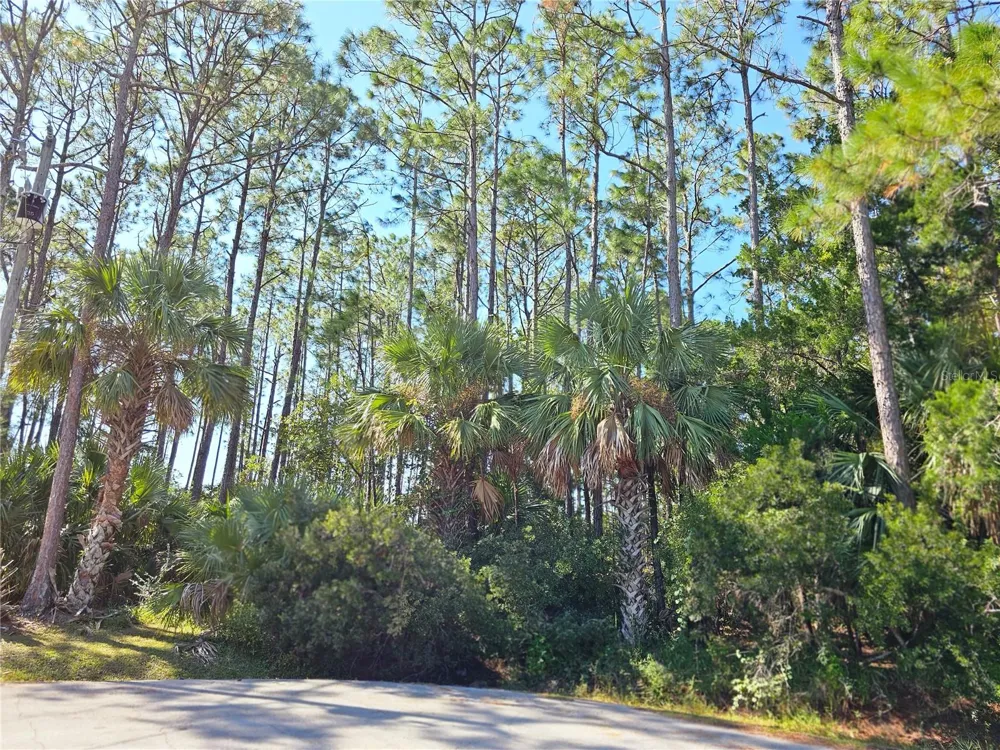 12 RAMSGATE PLACE Palm Coast, FL 32164