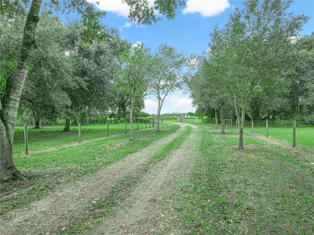3963 MAMMOTH GROVE ROAD Lake Wales, FL 33898