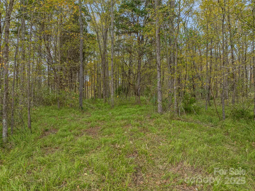 1640, 1641, 1642 River Road Hot Springs, NC 28743