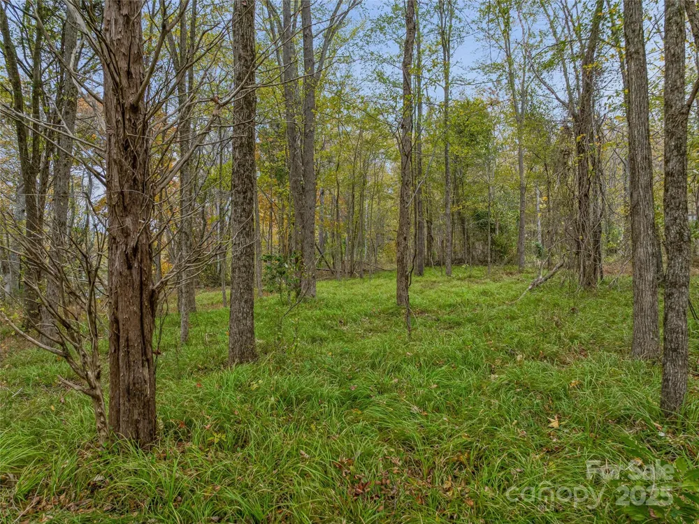 1640, 1641, 1642 River Road Hot Springs, NC 28743