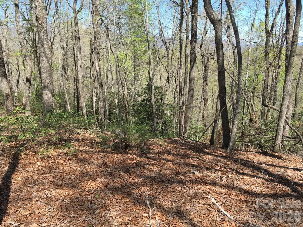 00 Lytle Mountain Road Marion, NC 28752