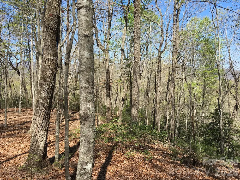 00 Lytle Mountain Road Marion, NC 28752