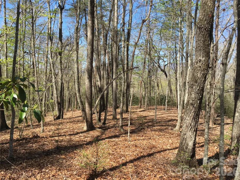 00 Lytle Mountain Road Marion, NC 28752