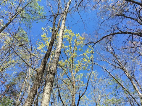 00 Lytle Mountain Road