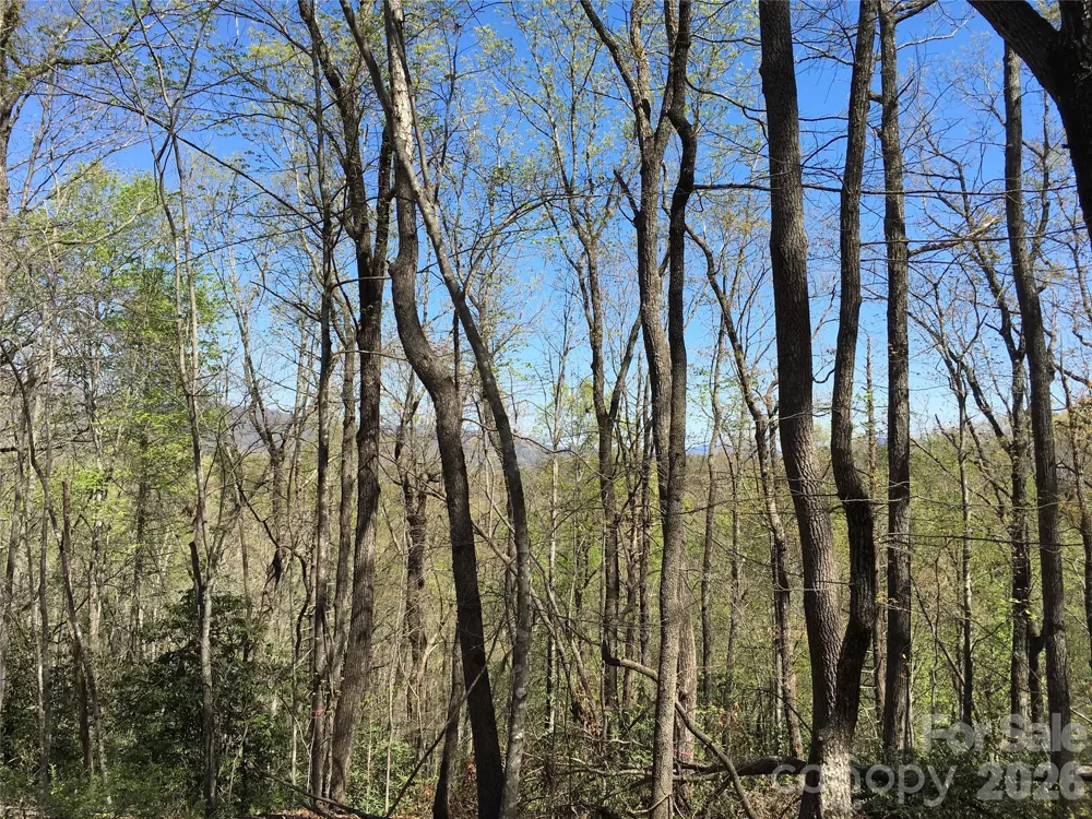 00 Lytle Mountain Road Marion, NC 28752