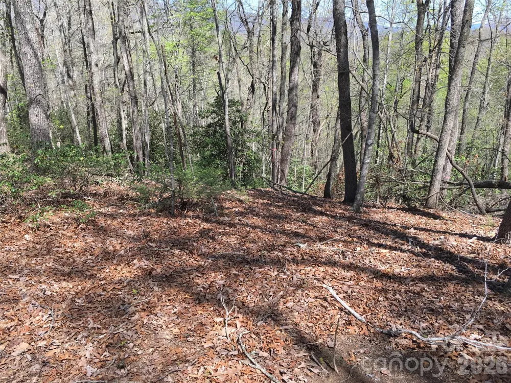 00 Lytle Mountain Road Marion, NC 28752