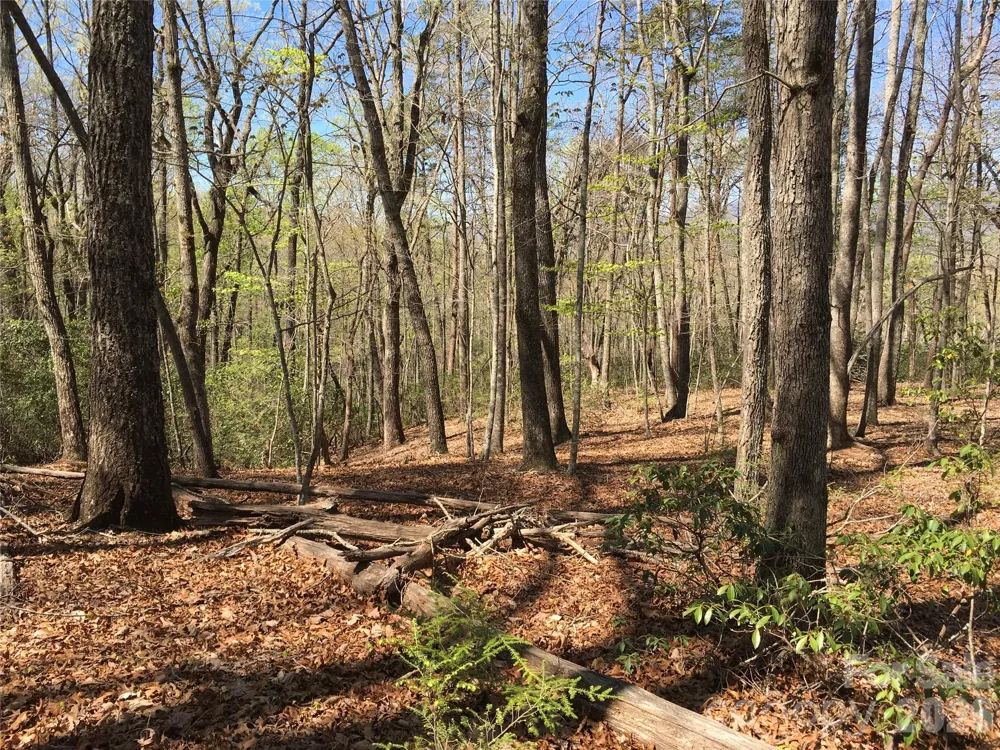 00 Lytle Mountain Road Marion, NC 28752