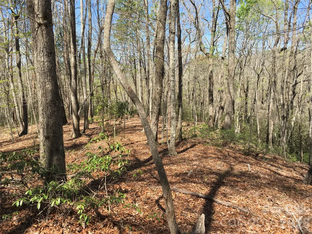 00 Lytle Mountain Road Marion, NC 28752