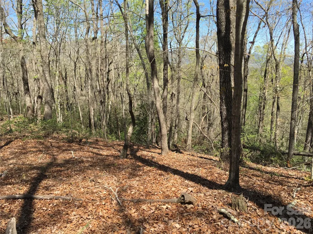 00 Lytle Mountain Road Marion, NC 28752