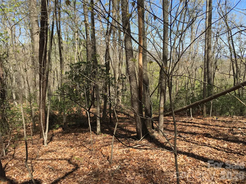 00 Lytle Mountain Road Marion, NC 28752