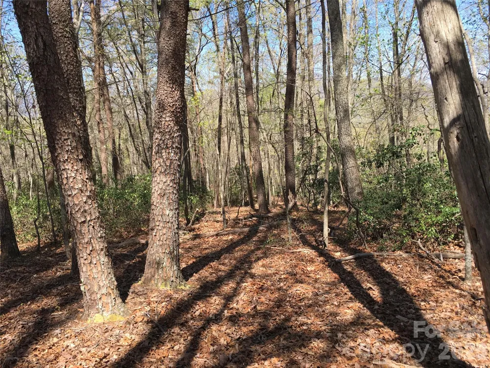 00 Lytle Mountain Road Marion, NC 28752