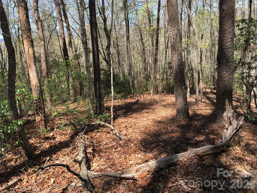 00 Lytle Mountain Road Marion, NC 28752