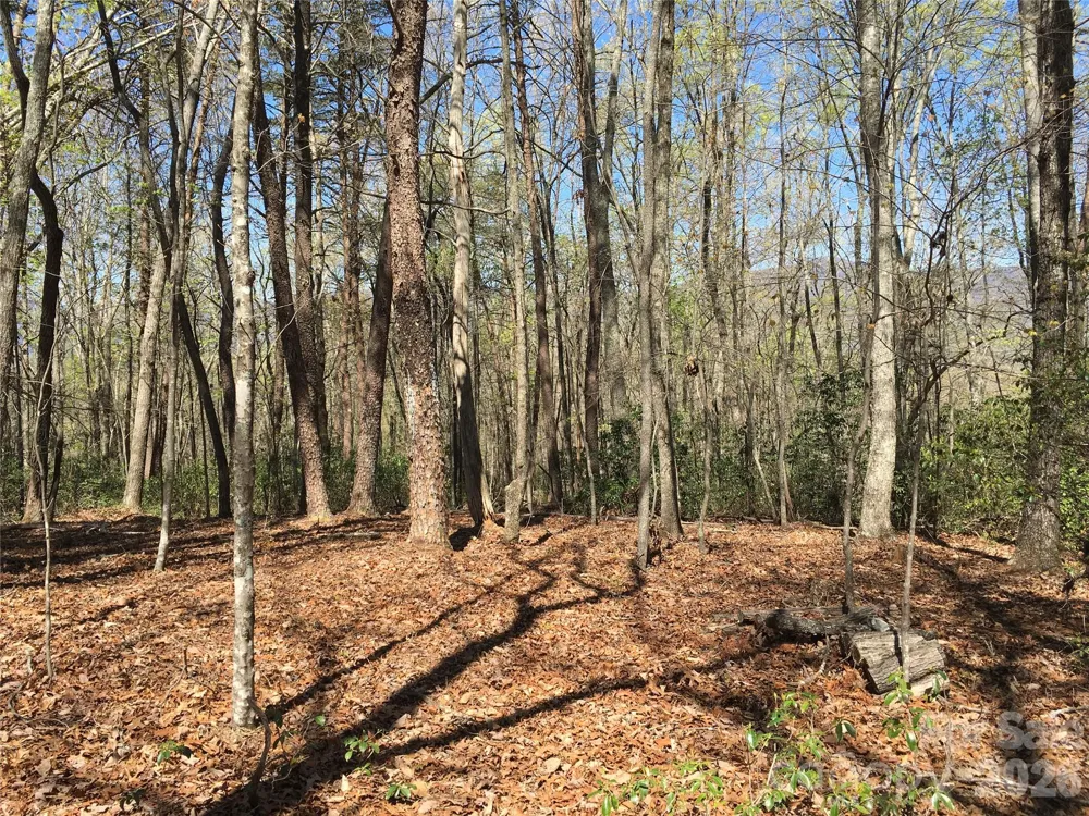 00 Lytle Mountain Road Marion, NC 28752