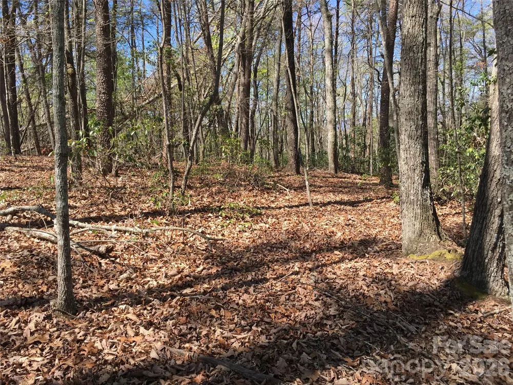 00 Lytle Mountain Road Marion, NC 28752