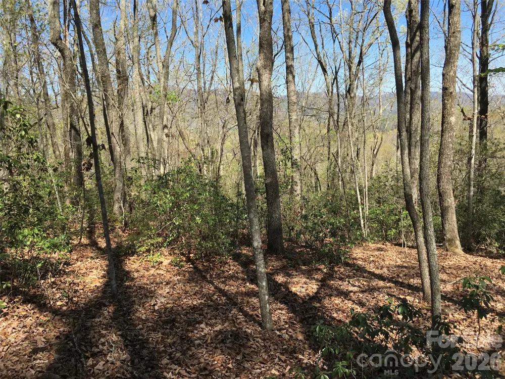 00 Lytle Mountain Road Marion, NC 28752