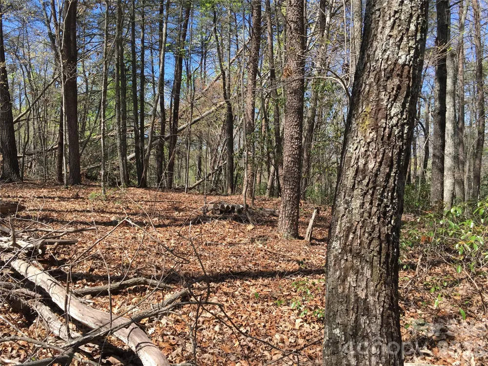 00 Lytle Mountain Road Marion, NC 28752