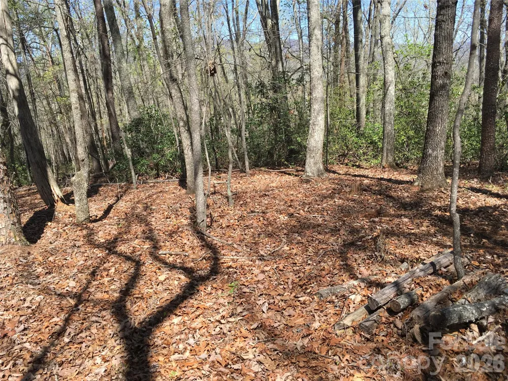 00 Lytle Mountain Road Marion, NC 28752