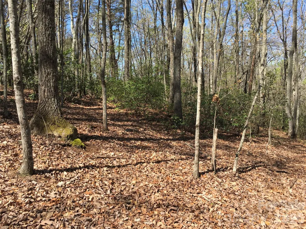 00 Lytle Mountain Road Marion, NC 28752