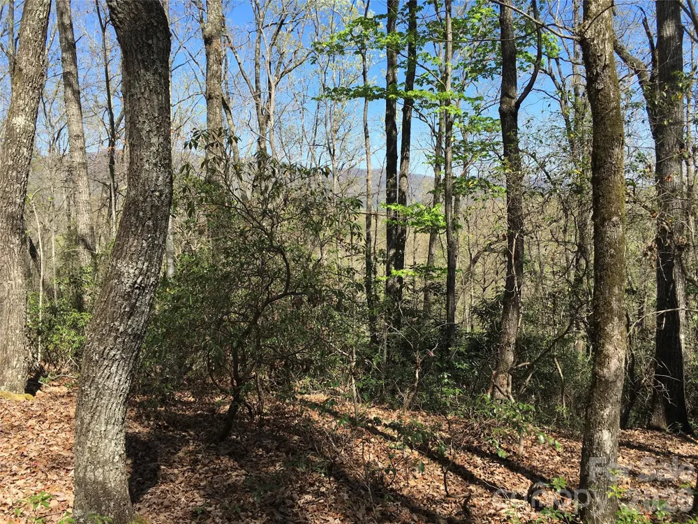 00 Lytle Mountain Road Marion, NC 28752