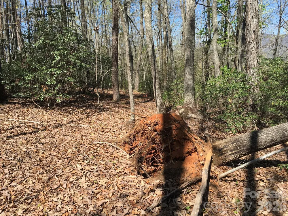 00 Lytle Mountain Road Marion, NC 28752