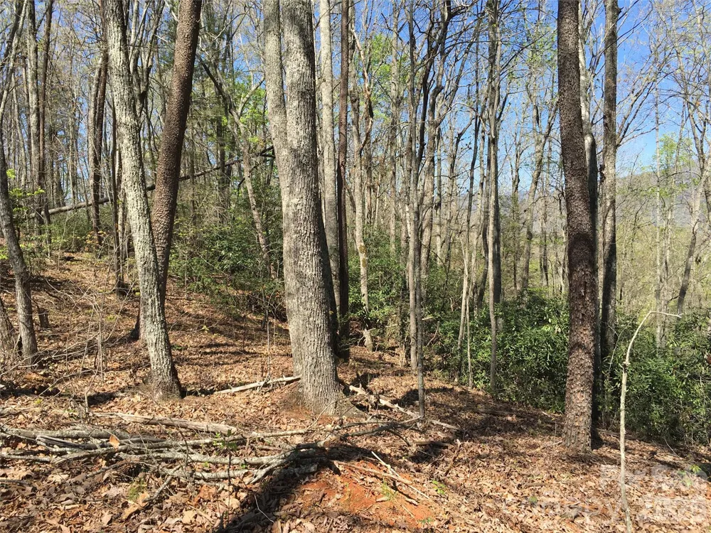 00 Lytle Mountain Road Marion, NC 28752