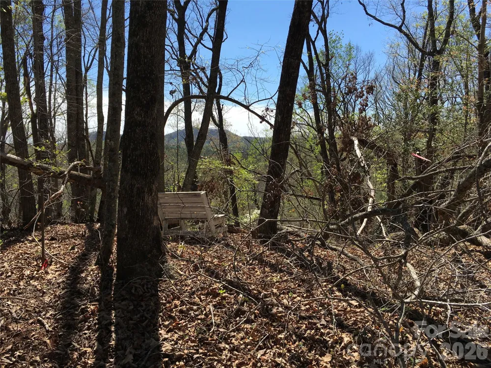 00 Lytle Mountain Road Marion, NC 28752