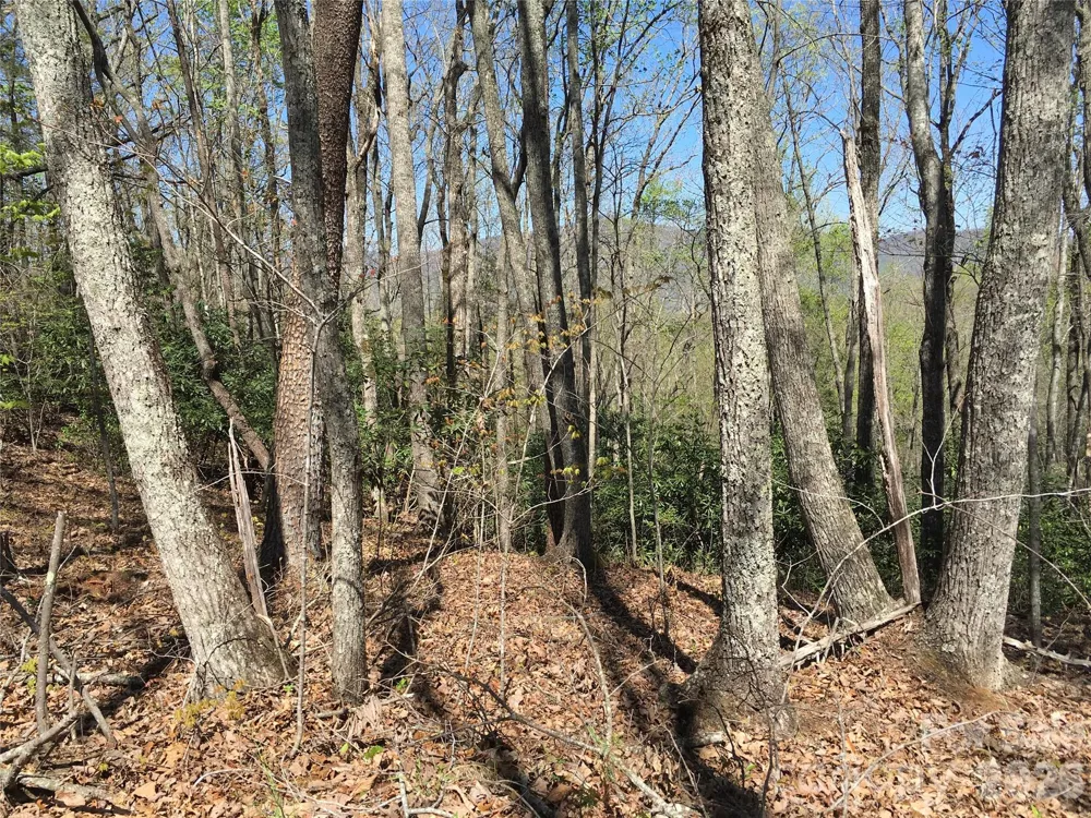 00 Lytle Mountain Road Marion, NC 28752