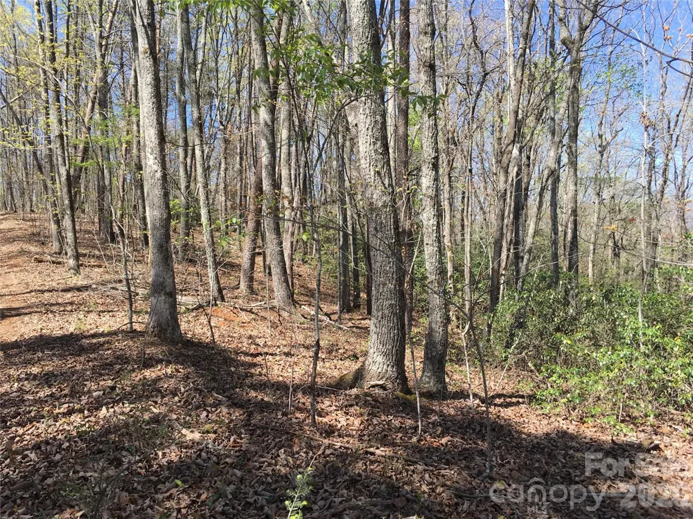 00 Lytle Mountain Road Marion, NC 28752