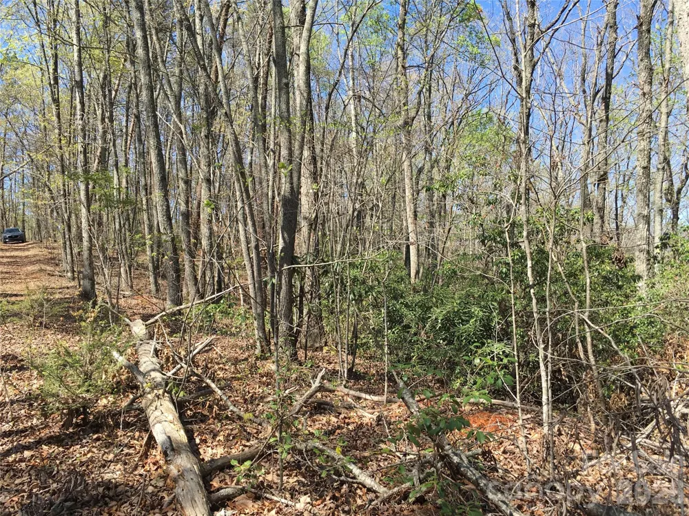 00 Lytle Mountain Road Marion, NC 28752