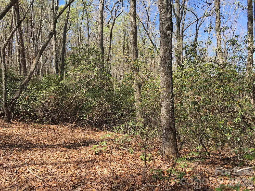 00 Lytle Mountain Road Marion, NC 28752