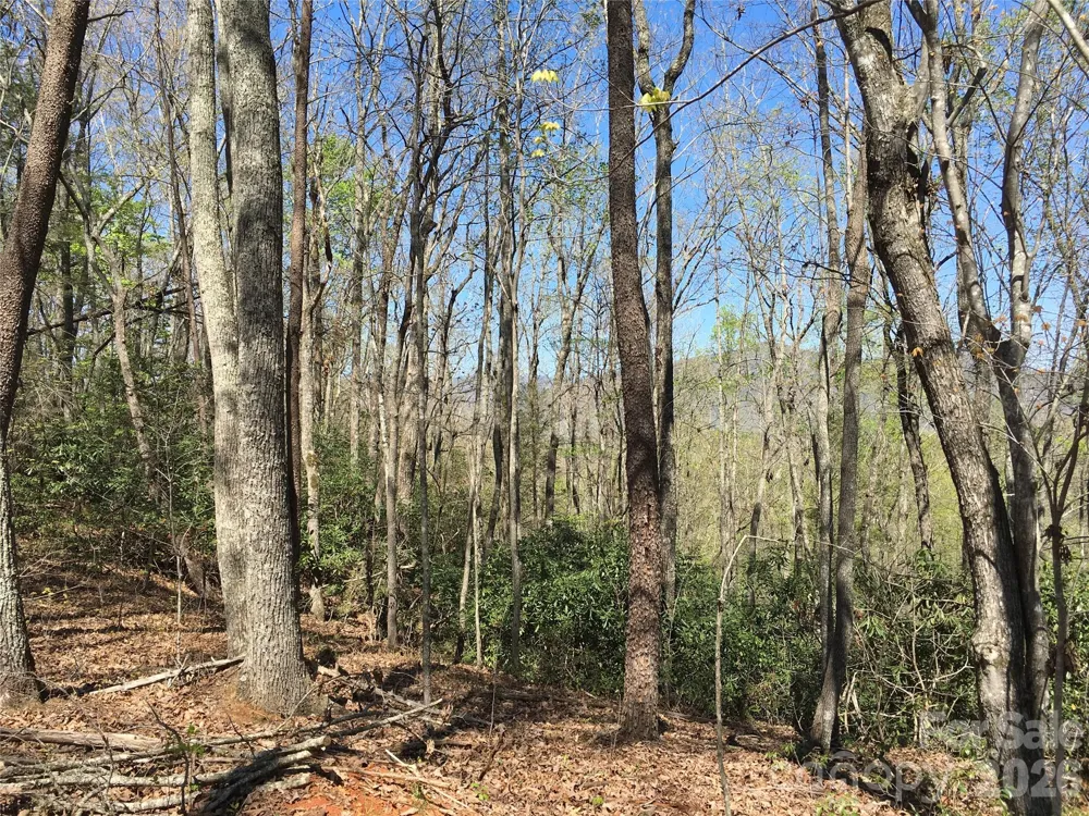 00 Lytle Mountain Road Marion, NC 28752
