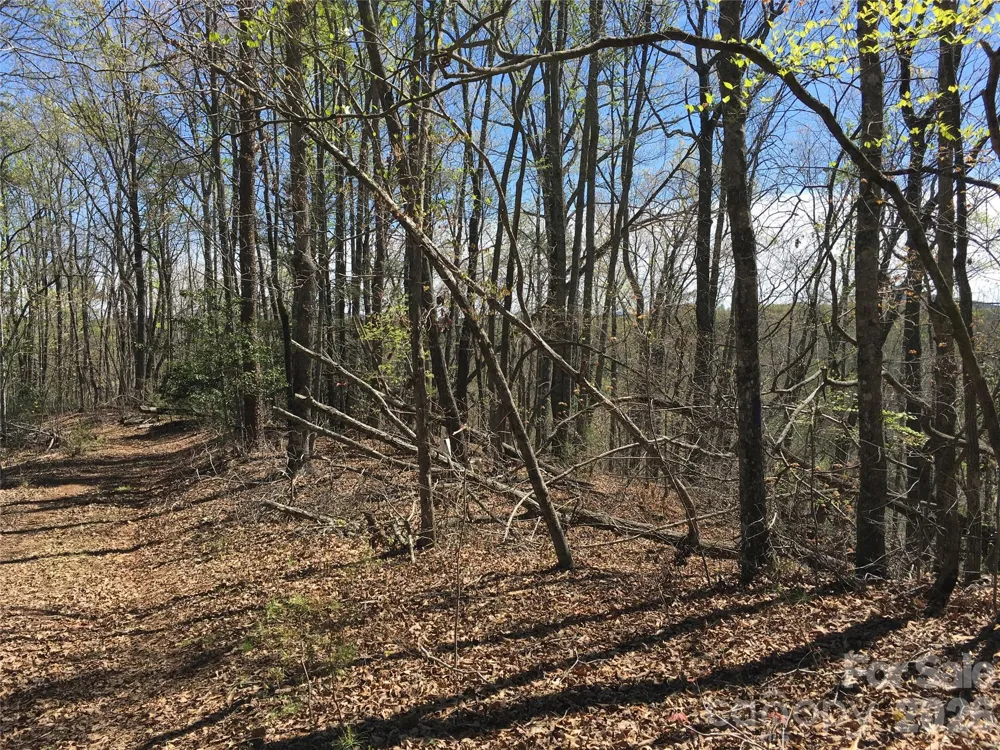 00 Lytle Mountain Road Marion, NC 28752